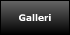 Galleri